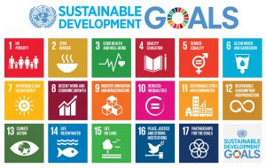 SDG-large