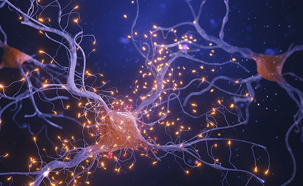 grid_research_lines_neurobit